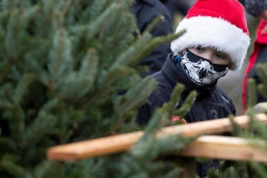 A boy wears a Santa hat and mask while looking for a Christmas tree at a farm in Harrowsmith, Ontario, Canada, on December 5, 2020
