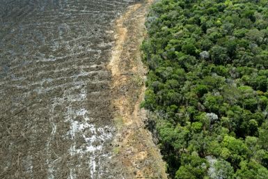This file photo taken on August 7, 2020 shows a deforested area of Brazil's Amazon rainforest in Mato Grosso state; EU officials say distrust over President Jair Bolsonaro's treatment of the Amazon is holding up a major trade deal