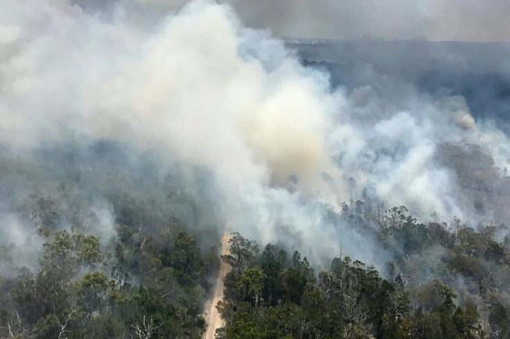 Known for its large population of dingoes, or native wild dogs, Fraser Island was listed as a world heritage site for its rainforests, freshwater dune lakes and complex system of sand dunes that are still evolving
