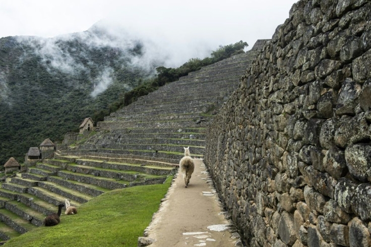 Just six weeks after it reopened following an almost eight-month closure during the worst of the coronavirus pandemic, Machu Picchu has had to close again over a local train service dispute