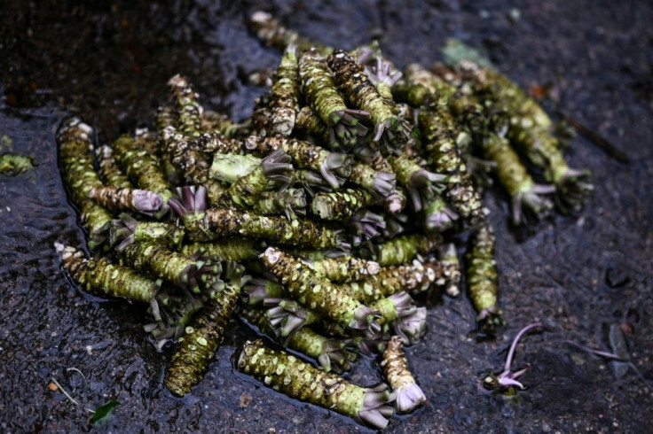 Fresh wasabi is known as 'green gold' in Japan; it is difficult to farm, and therefore an expensive delicacy