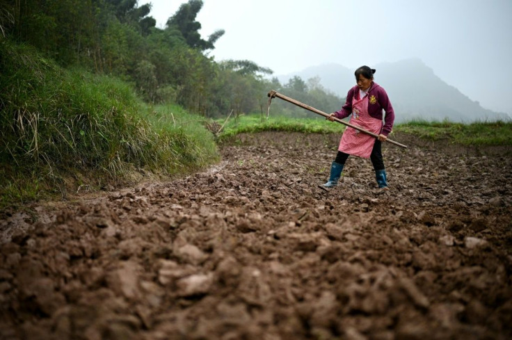 A women digs up a small plot for farming near Zhongba, a small island on the Yangtze river. Since authorities banned fishing in the river, locals have had to find other sources of income