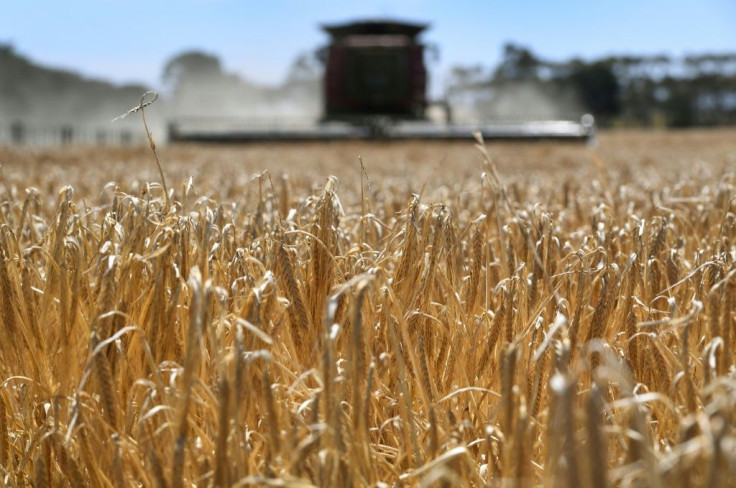 Australia's barley exports to China had been worth around US$1 billion a year before a recent drought