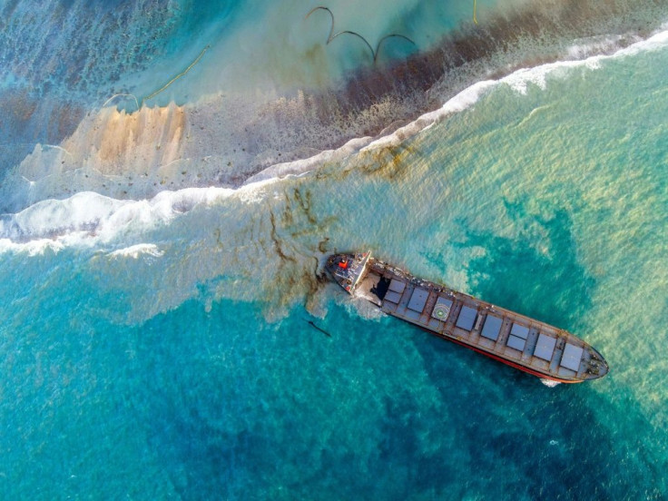 There is disagreement whether a crime of ecocide should include accidents -- such as ecologically devastating oil spills