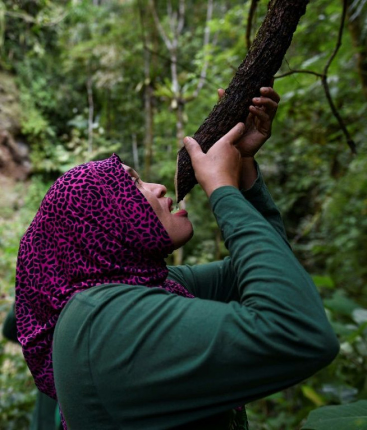 The women set out into the jungle twice a month, for about five days at a time