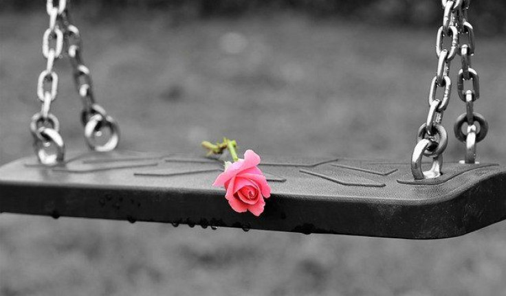 pink-rose-on-empty-swing-3656894_640