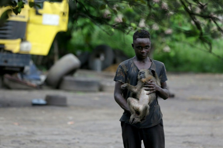 Close contact: A boy plays with a monkey in the courtyard of a home in Franceville