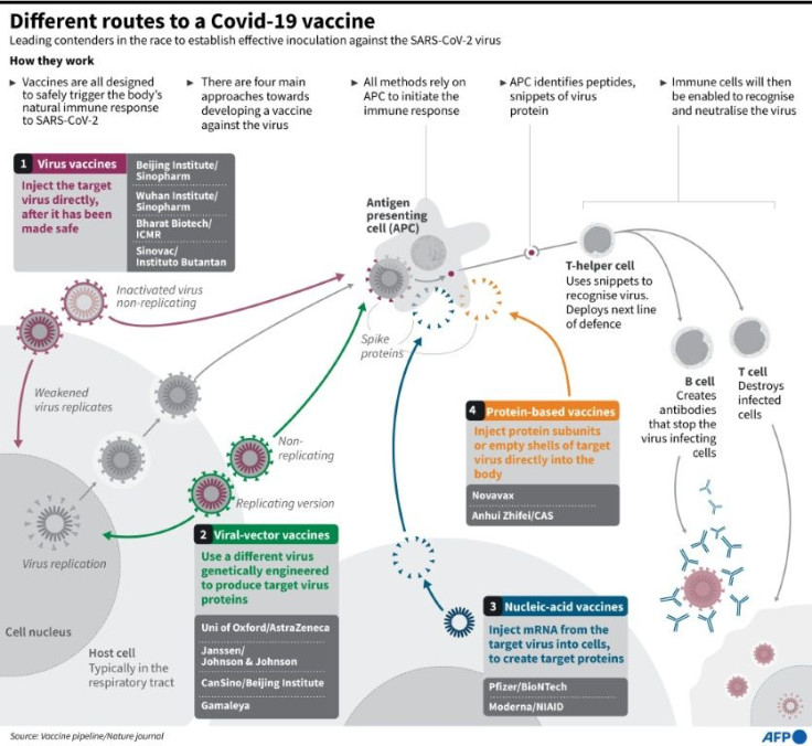 Different routes to a Covid-19 vaccine