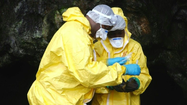 Six men in yellow biohazard suits clamber in suffocating heat towards a cave in the heart of the Gabonese jungle. Their quest: to unlock new knowledge on how pathogens like the coronavirus leap the species barrier to humans.