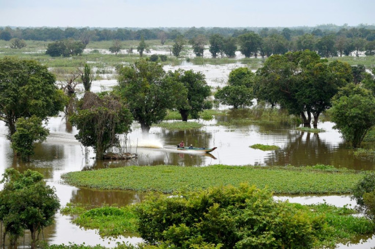 The change in water levels is having a major effect on surrounding wetlands, precipitating a decline in endangered species living around the lake