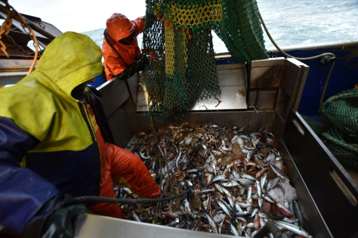 Fishing quotas in British waters are a key sticking point in post-Brexit talks. Britain intends to assume control over its waters next month, including in the English Channel where French boats such as the 'Le Marmouset III' seen here,  operate