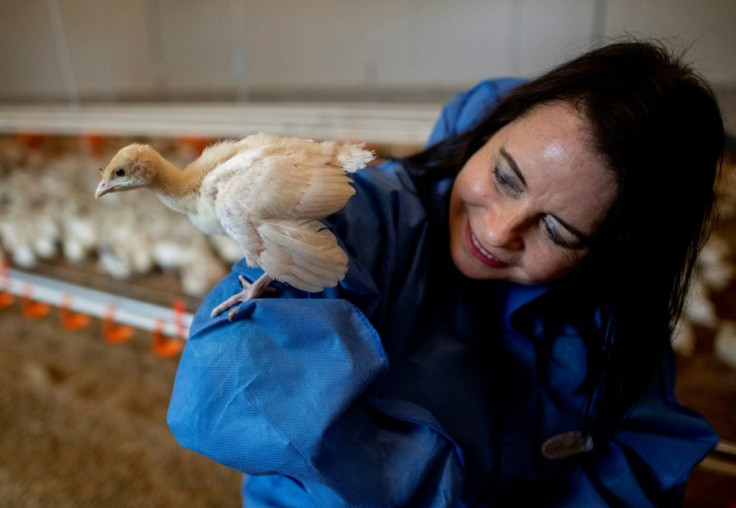 "The birds have lots of space" Katharina Bauer says on the organic farm she and her husband run in Weibern, northern Austria