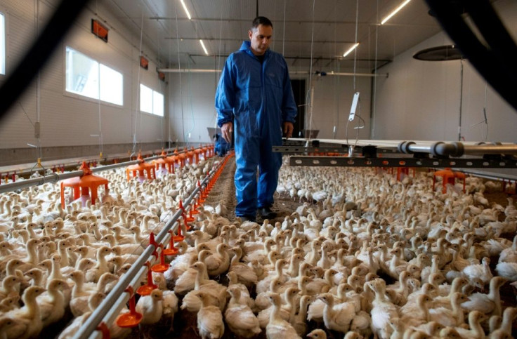 Austrian turkey breeders and government officials would like their standards adopted across the European Union