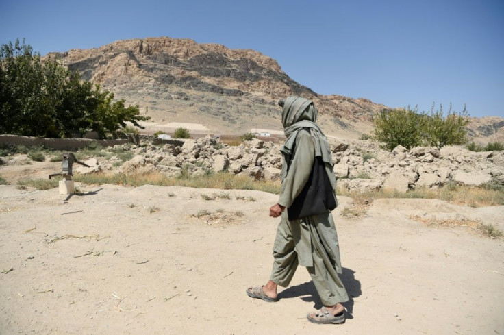 Hundreds of Taliban fighters have defected from the group, but it still has tens of thousands of members