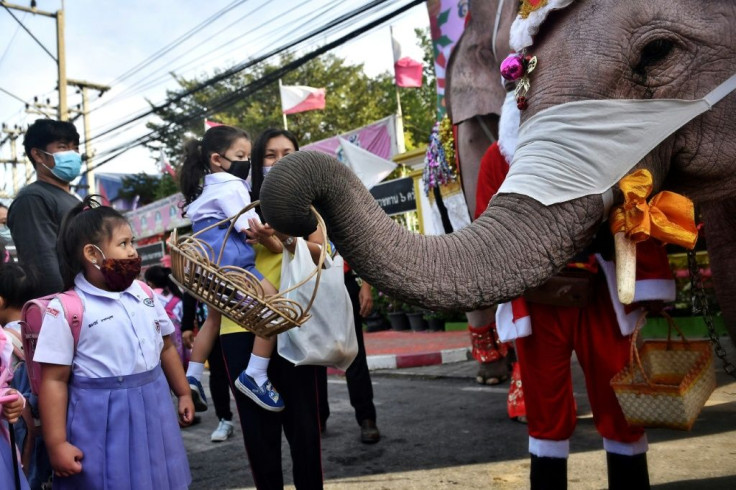 The school visit is an annual tradition for the elephants