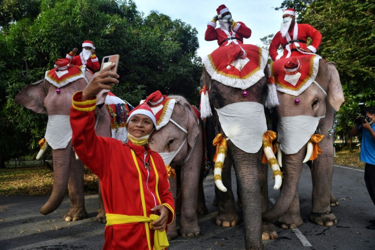 Children and adults lined up to have their pictures taken with the elephants