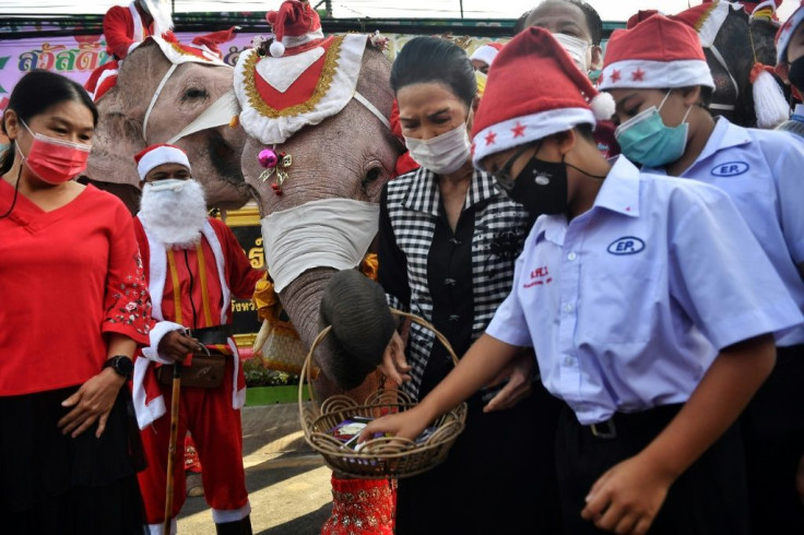 The Christmas visit by the elephants is an annual tradition that has taken place for 17 years