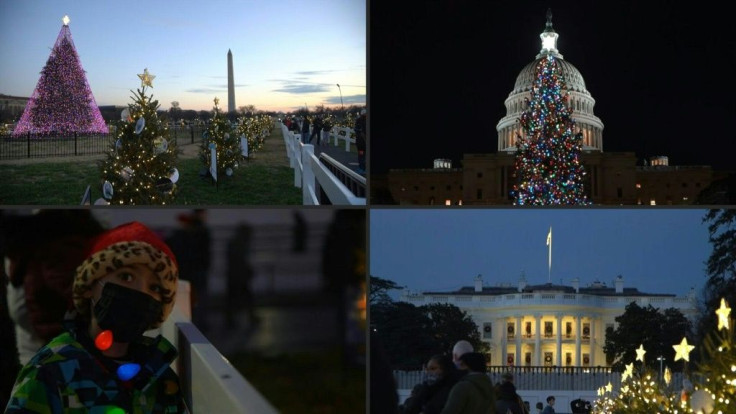 Christmas trees compete for attention outside the White House and the Capitol in Washington