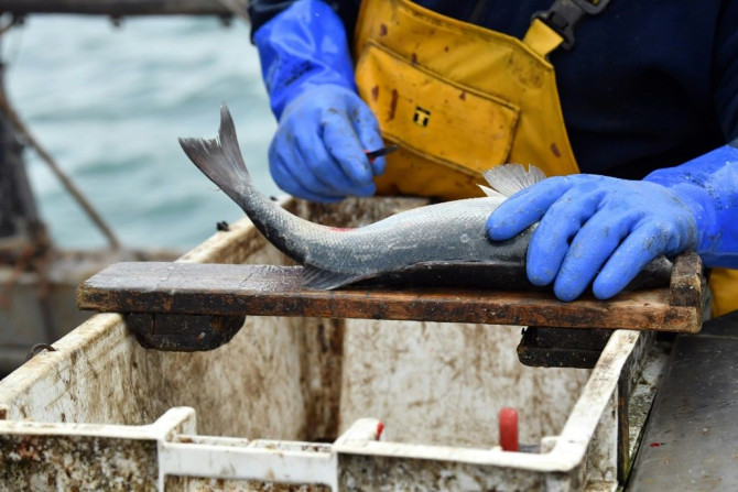 French fishing boats capture 30 to 70 percent of their hauls in British waters.
