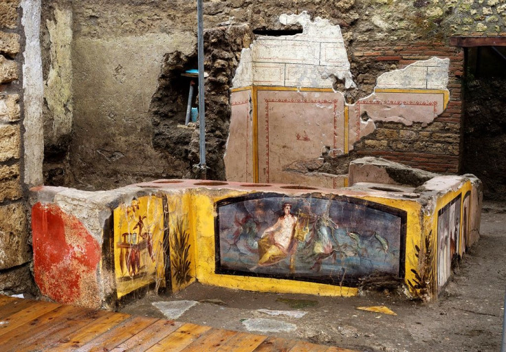 Archaeologists uncovered a number of still life scenes, including depictions of animals believed to have been on the menu, notably mallard ducks and also a rooster, for serving with wine or hot beverages