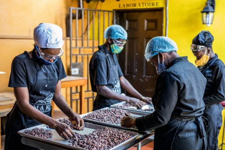Workers at Makaya, a chocolate company in Petionville, Haiti, sort cocoa beans