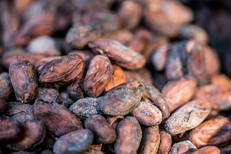 Haiti is slowly developing its cocoa industry and is targeting international markets