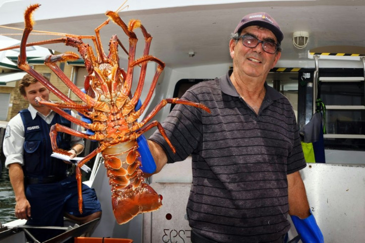 Australian fisherman Joe Paratore displays his catch of the day to customers at the harbour in Fremantle