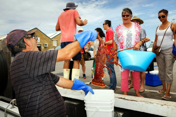 Joe Paratore (L) shows his catch of western rock lobsters to customers in Fremantle. Australian fishermen have had to find new markets for their catch after China imposed a near-total ban on lobster