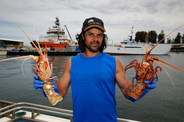 Fisherman Michael Vinci sells live western rock lobsters from his boat. The public has responded enthusiastically to the boat sales, queuing in the heat to buy directly on the quay in Fremantle