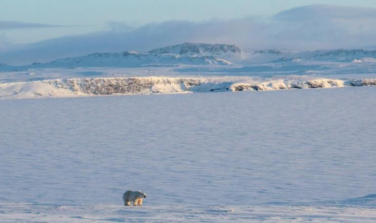 The boat sank near the remote Novaya Zemlya archipelago in northern Russia, a frozen Arctic area home to polar bears.