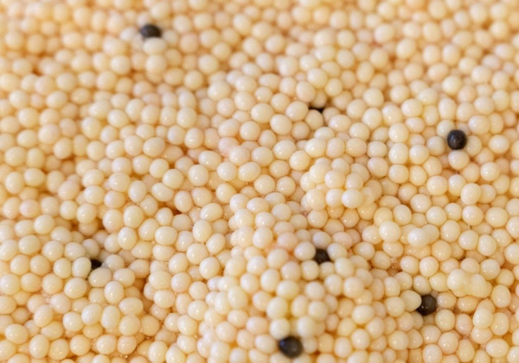 The cream-coloured roe of rare white sturgeon lacks pigmentation like the fish