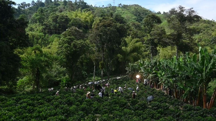 IMAGES AND SOUNDBITES A television production crew films a new series of 'Cafe,' a Colombian classic of Latin America's soap operas, 'telenovelas,' after a break due to the coronavirus pandemic. "We were about to start shooting in April, and just ten days