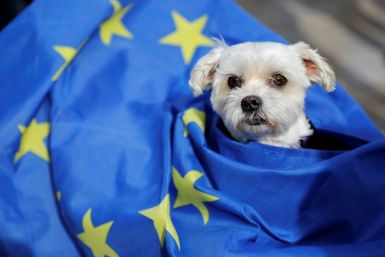 New regulations on taking pets abroad, post-Brexit,  pose a potential headache for their owners