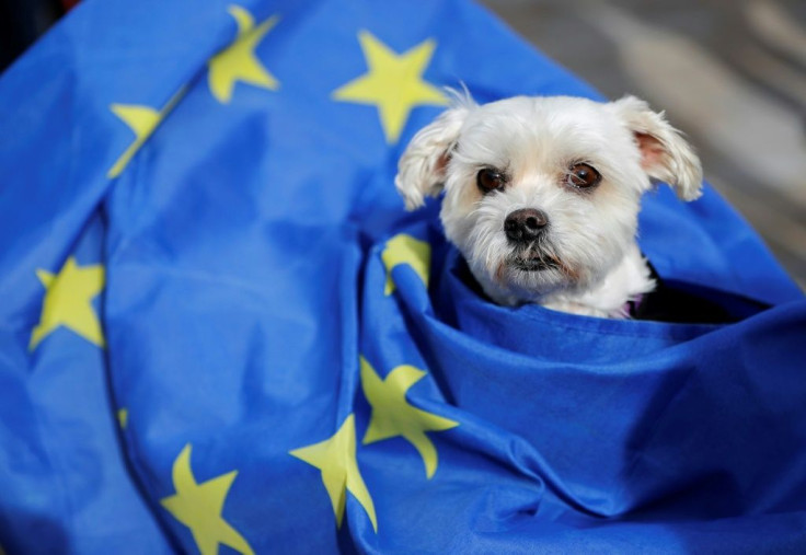 New regulations on taking pets abroad, post-Brexit,  pose a potential headache for their owners