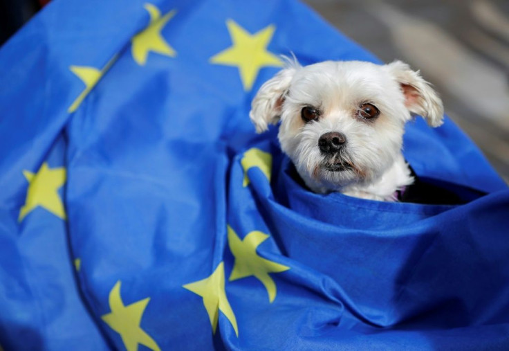 New regulations on taking pets abroad, post-Brexit, pose a potential headache for their owners