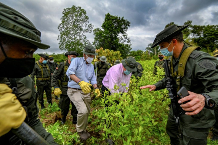 Colombian Defence Minister Carlos Holmes Trujillo (C) and US Ambassador to Colombia Philip Goldberg (L), look at coca plants during an operation to eradicate the illicit crop in Tumaco, Narino Department, on December 30, 2020