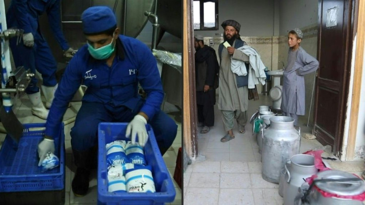 Brightly coloured milk bottles whizz off the production line at the Milko factory in Afghanistan's Kandahar province, the result of entrepreneur Ghami Mia treading a careful line with both the Taliban and government officials.