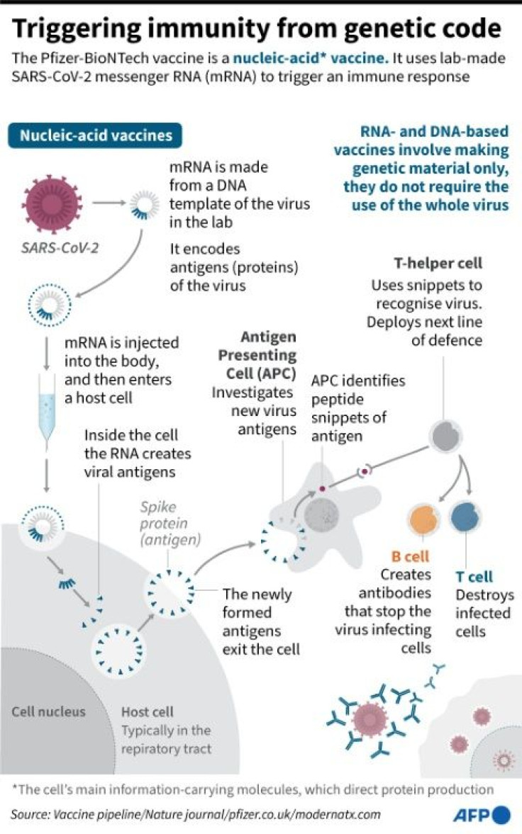 How the Pfizer-BioNTech vaccine uses genetic information from SARS-CoV-2 to stimulate the body's immune response.
