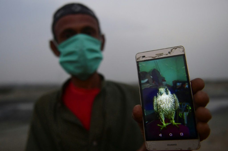 Muhammad Rafiq learnt to trap birds as a teenager, and he renovated his family home recently with the money he made poaching