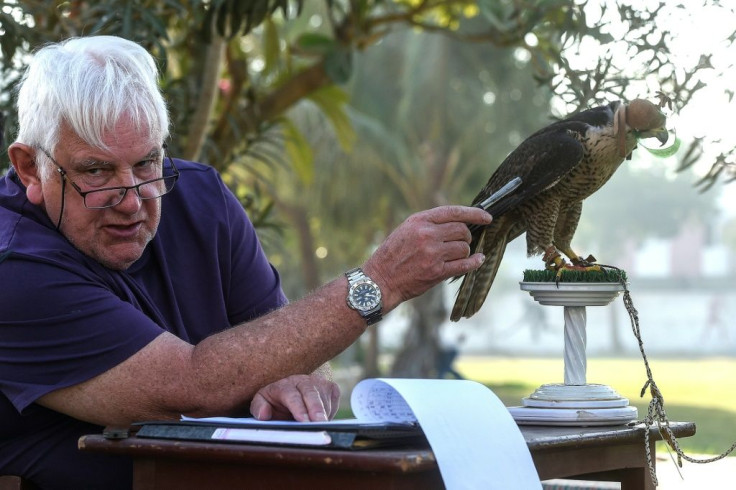 Veteran falcon conservationist Bob Dalton says most species of falcon are either in decline or on the point of being unstable