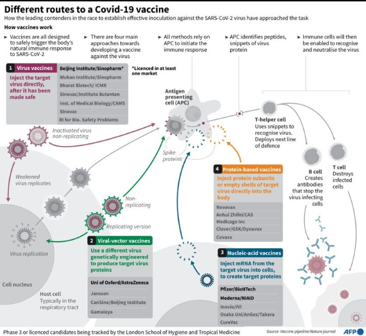 Graphic that shows the leading vaccine contenders for a Covid-19 vaccine and the different approaches they take.