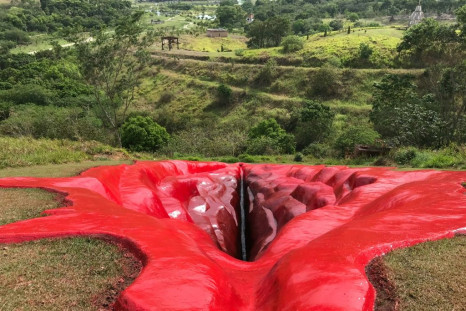 The 33-meter (108-foot) vulva, titled "Diva," was created in rural sugarcane field in Pernambuco state