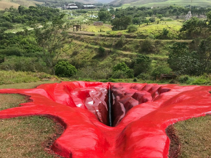 The 33-meter (108-foot) vulva, titled "Diva," was created in rural sugarcane field in Pernambuco state