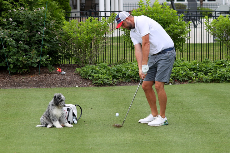 Golf Dog