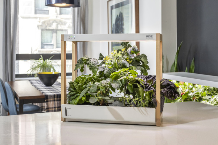 Rise Gardens Personal Garden counter
