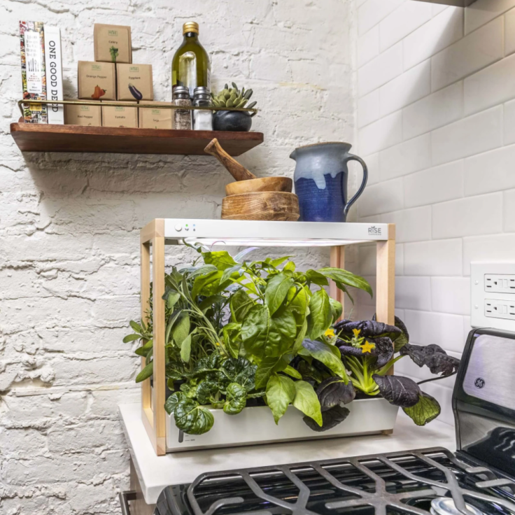 rise-gardens-personal-garden-kitchen