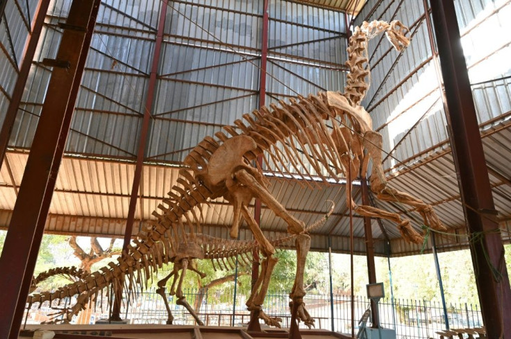 Dino delight: Niger's national museum specialises in palaeontology, history and art -- and also boasts a zoo