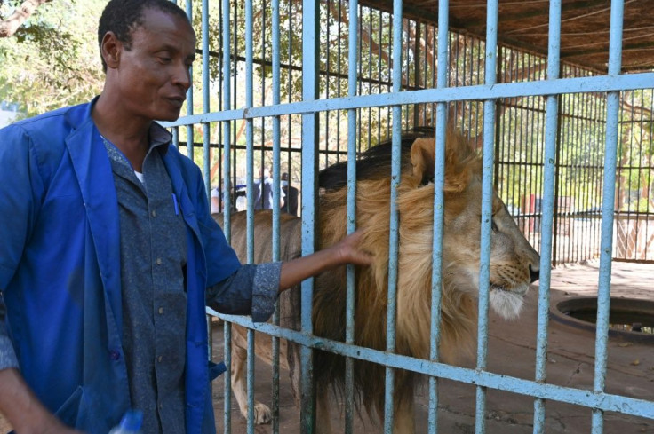 The museum's zoo has 111 species -- a major project next year aims to improve life for caged animals