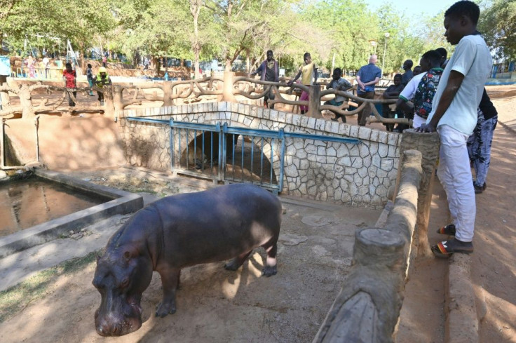 One of the most popular areas of the museum is its zoo