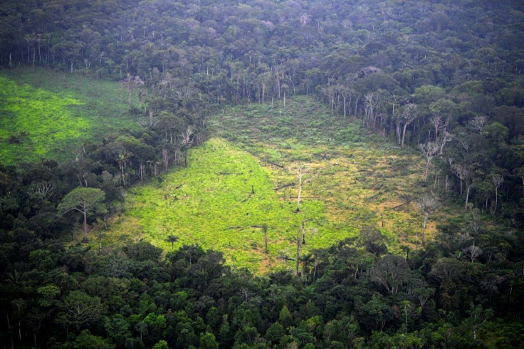 Swathes of forest continue to be flattened each year mainly due to industrial-scale agriculture